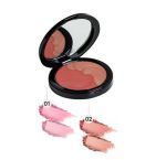 blusher powder no. 02