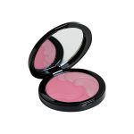 blusher powder no. 01